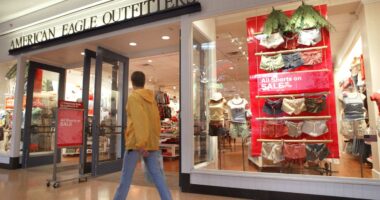American Eagle pulls guidance as new styles for spring and summer ‘disappointed’