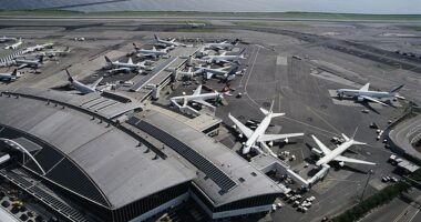 Joseph Neumayer, 28, was arrested at the New York airport (pictured) on Sunday after allegedly plotting to bomb the US embassy in Israel
