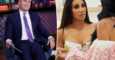 Andy Cohen compares 'Real Housewives of Rhode Island' to 'RHONJ'