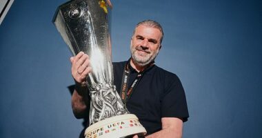 Ange Postecoglou is a charismatic, talented and largely likeable coach bathed in the sunlight that comes with winning something