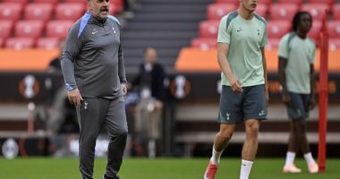 Ange Postecoglou will move on without regret if the Europa League final is his final Spurs game