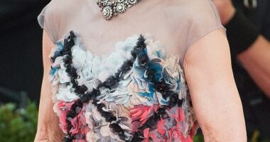 Vogue editor Anna Wintour has given some rare insight into her Met Gala planning, as she addressed one of the many rumored rules that she is believed to have set for the party