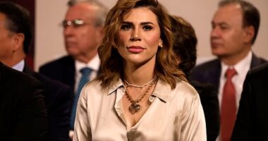 Marina del Pilar Avila, the governor of Mexico 's Baja California state, announced on Sunday that her and her husband's visas to the United States have been revoked