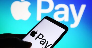 Apple Pay was down worldwide on Friday, leaving users unable to make purchases or access funds. According to Apple's system status dashboard, the outage began at 11:44am ET and was also affecting Wallet, Apple Card and Apple Cash. The tech giant's System Status showed all issues were resolved at 1:01pm ET.