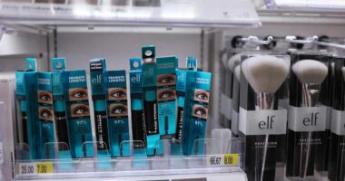 As tariffs cloud outlook, E.l.f. Beauty turns to Hailey Bieber for help