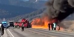 At least seven dead in Yellowstone national park fireball after horror bus crash: Follow updates