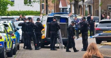 Police stand outside a police van containing an out of control dog after it attacked a baby and two adults