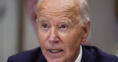 Biden White House Run by Covert 'Politburo' – RedState