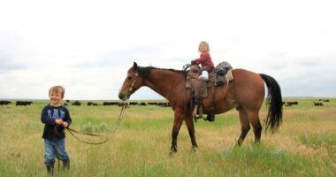 Biden’s Lawfare Nearly Ripped Ranching Family Apart