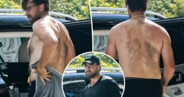 'Big Yeti' Travis Kelce goes shirtless in Miami after sweaty NFL training session