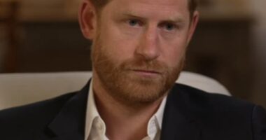 Body language expert Judi James told FEMAIL that Prince Harry's stare 'suggested a man who¿d found more toys to throw out of the pram'