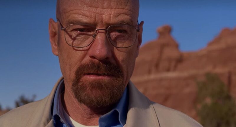 Breaking Bad May Be Over, But Netflix's Replacement With 82% On Rotten Tomatoes Remains An Underrated Must-Watch