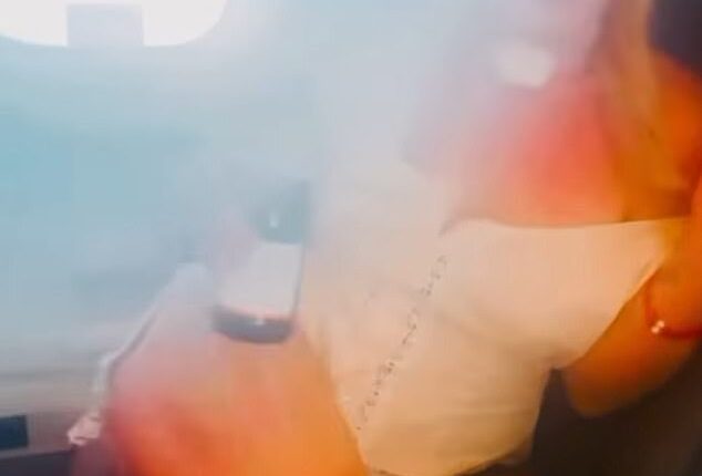 Britney Spears has responded to her explosive new airplane scandal with a video of herself on the flight toasting the camera