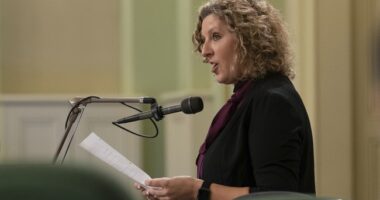 CA Leg Dems Cave on AB 379 After Successful GOP Ad Campaign and Shaming for Age Ceiling Removal – RedState