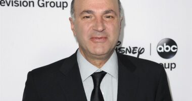 CNN Panel, Abby Phillip Try to Shut Down Kevin O'Leary on Kamala Loss, but He Makes Painful Parting Shot – RedState