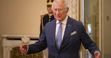 Canada's Carney Thinks He Has a Secret Weapon to Stop the '51st State' Talk, but It Shows Trump Was Right – RedState