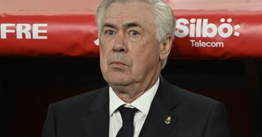 Carlo Ancelotti has been appointed as the next manager of the Brazilian national team