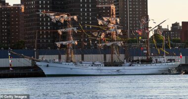 The Mexican Navy ship that crashed into the Brooklyn Bridge 'likely suffered a mechanical issue' before losing power, according to police