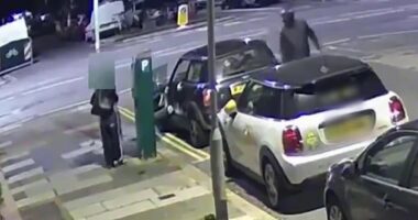 Harrowing video evidence played in court showed Cameron Boxall, 22, as he tried to drag the young woman (left) into a stolen Mini Cooper before driving off