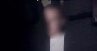 A passenger aboard an All Nippon Airlines Boeing 787 from Tokyo to Texas was restrained by two US veterans after the man tried to open the aircraft door mid flight