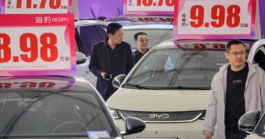 China EV-maker BYD has been grabbing market share from Tesla. Its shares are tanking after price cuts.
