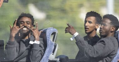 People believed to be migrants have been seen in buses in Dover after Channel crossings