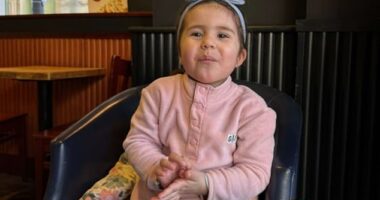 Rawal Rehman, 36, pleaded guilty to causing the death of Louisa 'Lulu' Palmisano (pictured) by dangerous driving in Manchester city centre on February 22