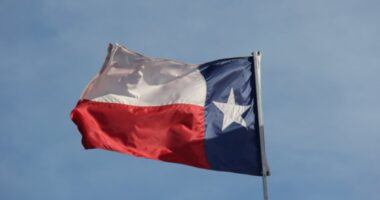 Conservatives Can’t Make America Great Again Until They Hold ‘Red State’ RINOs Accountable