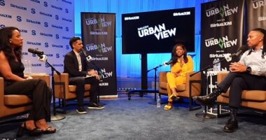 Rep. Jasmine Crockett (center right) revealed Democrat donors are backing the 'safest white boy' possible for their next presidential candidate