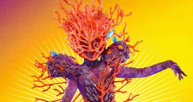 Coral Identity Prediction & Clues