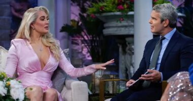 Could Erika Jayne Be Demoted to a Friend on 'RHOBH'?