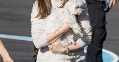 Cuban-Spanish actress Ana de Armas, 37, was recently spotted arriving at a London heliport with rumored boyfriend Tom Cruise