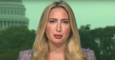 D.C. Journalist Turned Democrat House Candidate Criticized for Concealing Lavish Lifestyle.