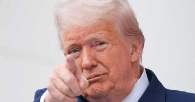 DJT stock rallies on report it’ll dilute shareholders. That’s odd but not in the world of crypto.