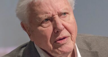 David Attenborough on how we will ‘save our world’ as he addresses health at age 98