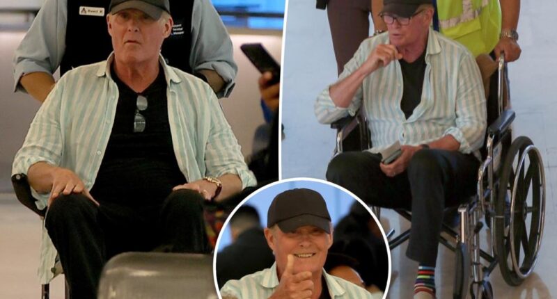 David Hasselhoff seen in wheelchair amid health setback