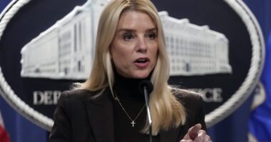 Dem Rep. LaMonica McIver Criminally Charged for Assaulting ICE Agents, and She's Already Crying – RedState