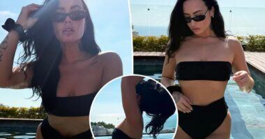 Demi Lovato shares black bikini pics ahead of summer