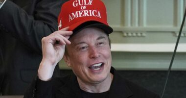 Democrat Senator Schooled Over 'Fake News' Hot Take About Elon Musk's DOGE Exit – RedState