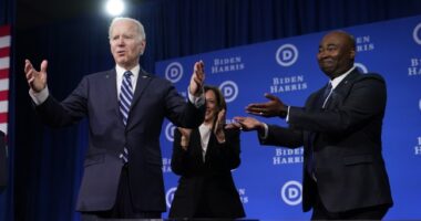 Democrats Begin Unraveling After Floodgates Open on Joe Biden's Decline – RedState
