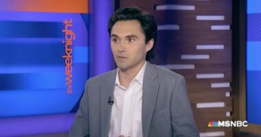 Democrats Try To Overturn Election Of Their Own Party Vice Chair