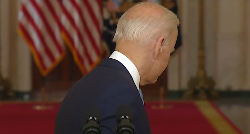 Dems Said 'Democracy Is On The Ballot' While Pushing Biden