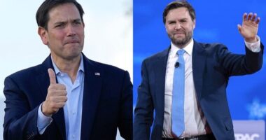 Details of How Trump Team Facilitated Huge India-Pakistan Ceasefire – RedState