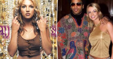 Did Britney Spears shoot 'Oops' cover at Lenny Kravitz's house?