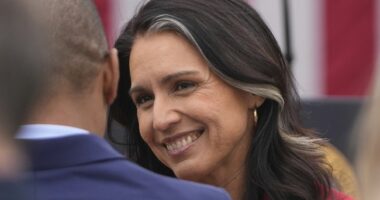 Director of National Intelligence Tulsi Gabbard Demands Comey Be Put Behind Bars for '86 47' Threat – RedState