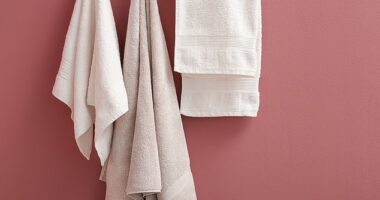 Dr Hussain Ahmad said that the dampness from the shared towel actually causes fungi to grow