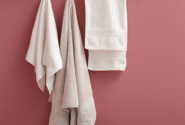 Dr Hussain Ahmad said that the dampness from the shared towel actually causes fungi to grow