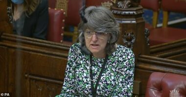 Baroness Finlay (pictured) has proposed an amendment to eliminate the ¿reasonable punishment¿ defence