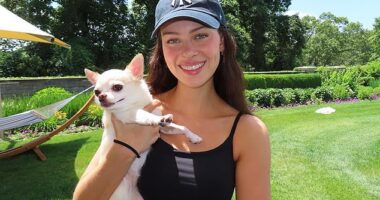 Dog heartbreak behind Nicola Peltz's new venture: Bitter lawsuit over the couple's chihuahua’s death may have inspired the actress amid fallout with Beckhams