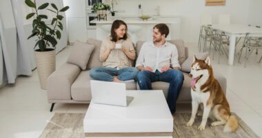 Dogs are treated like ‘child surrogates’ by their owners, new study finds